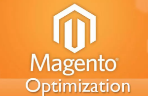 Magento’s Support On Web Performance Optimization