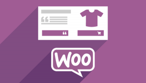 WooCommerce platform the very first choice for every business