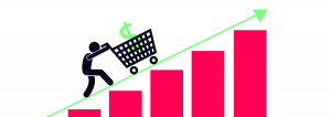 Get the perfect revenue for your e-commerce company