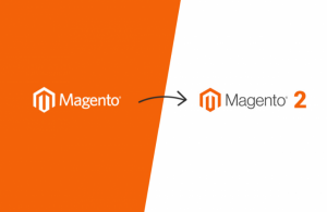 Update From Magento to Magento 2 – Maximize Studio